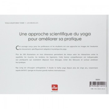 Yoga anatomie - Les muscles